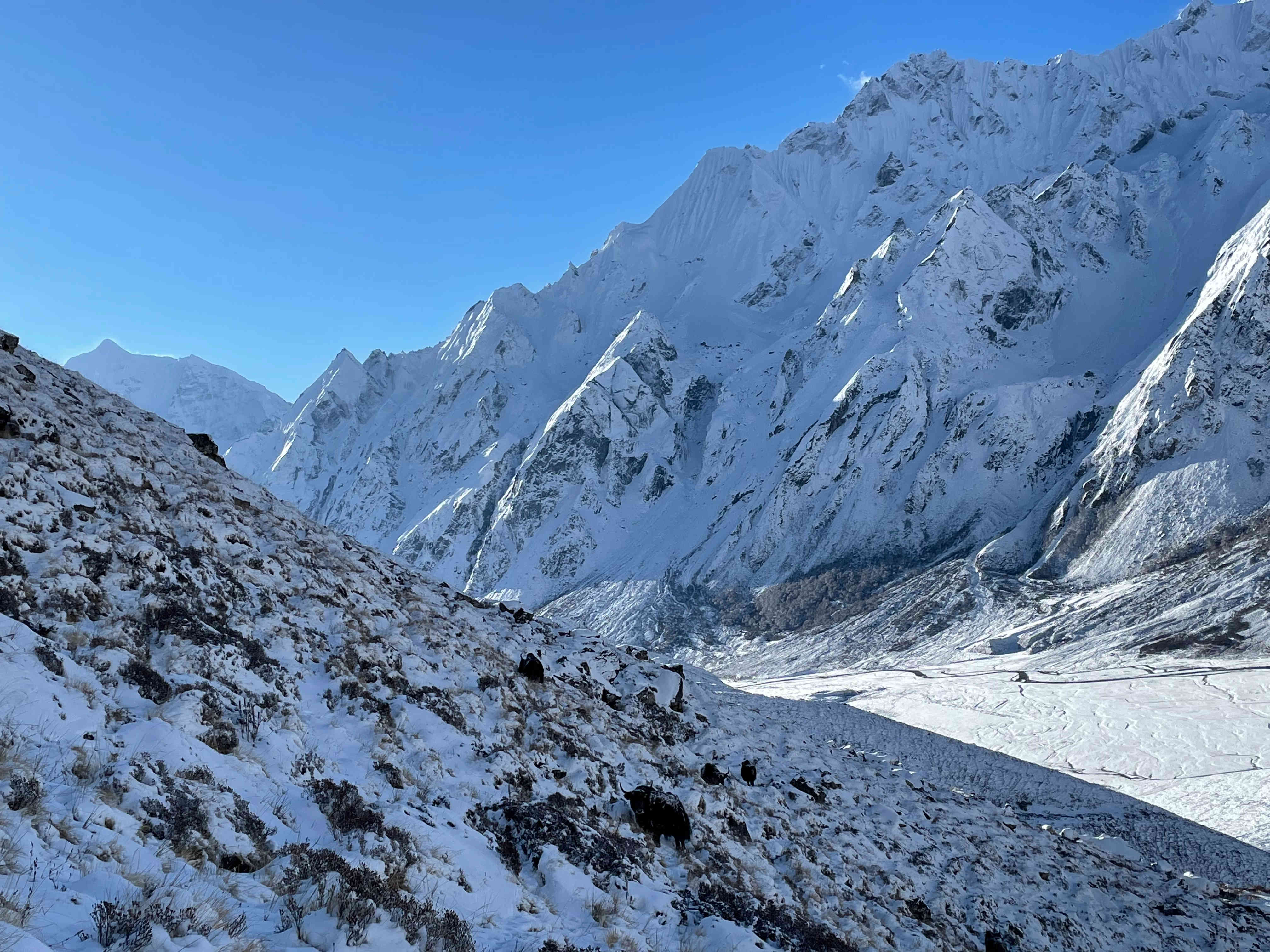 Hikers sharing a Himalayan trail together